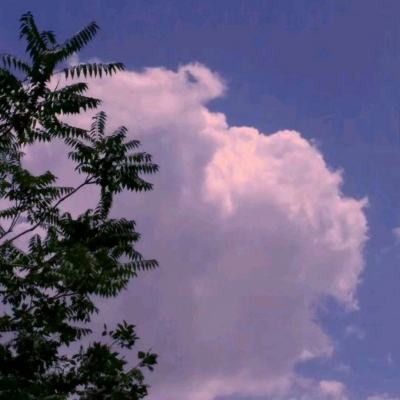 修罗王九游版下载